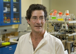 Giovanni Zocchi in his lab