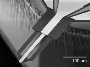 This is an electrothermal cantilever from the University of Illinois, having nanometer-scale electrode tip integrated onto a microheater.

Credit: University of Illinois at Urbana-Champaign