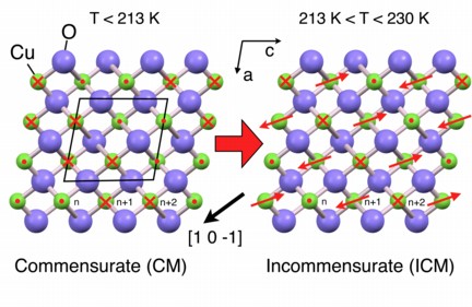 Detail of the structure of cupric oxide (CuO). The copper atoms (green) carry a magnetic moment, behaving like small compass needles. The direction of the magnetic moment is illustrated by a red arrow. A point means that the arrow is pointing out of the surface (we are looking at its sharp end), a cross shows that the arrow is pointing into the surface (we are looking at its tail end). The magnetic structure changes significantly as the temperature increases above 213 Kelvin (around -60°C). One aspect of this change is a difference in the period of the magnetic order. Unlike the ordering at low temperatures, the magnetic structure in the temperature range 213 K to 230 K is incommensurate: its period does not ‘fit’ with the period of the crystal structure of copper and oxygen atoms. To be precise, a full rotation of the direction of the magnetic moment does not require exactly four atomic separations, but a little more or a little less, depending on the direction. 