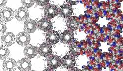 An illustration of the researchers' target protein crystal. (ART: Christopher MacDermaid)