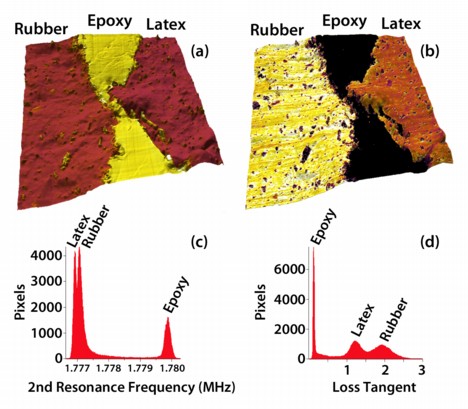 (a) AM-FM image (b) Loss Tangent image and (c) AM-FM histogram and (d) Loss Tangent histogram of a cryotomed latex/epoxy/rubber gum polymer sandwich. The AM-FM stiffness map clearly resolves the small elastic difference between the latex and rubber gum. The Loss Tangent difference is even more distinct.