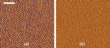 The method of creating a thin film can have great effect on the material, such as the orientation of the tiny cylinders in this film proposed for use in computer memory. One method of film creation is far more effective at creating copolymer films with cylinders that stand on end (b), as they must to be usable. Scale bar represents 200 nanometers.
Credit: NIST