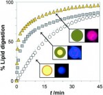 Functional lipid-based microparticles can be used to mimic the pharmaceutical food effect and enhance drug absorption by controlling the enzymatic digestion of lipid colloids.