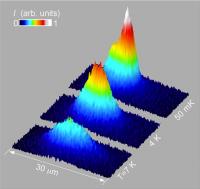 As excitons cool to a fraction of a degree above absolute zero, they condense at the bottom of an electrostatic trap and spontaneously form coherent matter waves. Creating indirect excitons, with electrons and holes in separate layers of a semiconductor, allowed them to persist long enough to cool into this state.

Credit: Butov group/UCSD