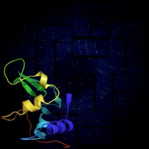 ﻿This rendering shows a lysozyme structural model against its X-ray diffraction patter from SLAC's Linac Coherent Light Source (LCLS), a powerful X-ray laser facility.
Photo by: Anton Barty/DESY