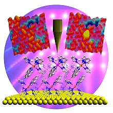 Computer graphic of the spin-crossover molecule that was used for the experiments on gold surface and the STM images of its different magnetic states
Picure & copyright: Holger Naggert & Thiruvancheril Gopakumar