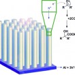 Selective and effective: silicon nanowires as photoelectrodes for carbon dioxide fixation