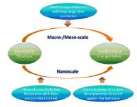 At macro-/meso-scale, an additional perturbation with long-range time correlation is required for unidirectional transport in asymmetric systems. However, at nanoscale, because thermal noise has a significantly long autocorrelation time, unidirectional transport is feasible in asymmetric systems, even in the situation that thermal noise is the only perturbation. In such a situation, extra energy is required to sustain the asymmetry of the system against thermal noise.

Credit:  Science China Press