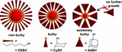 The bulkier the ligand, the fewer ligands can sit side-by-side -- leading to a smaller nanoparticle.