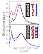 How far a wavelength of light can be transmitted along a gold nanoparticle chain to where it dies down (the extinction point) depends on the configuration of the repeat units  the nanoparticles themselves  according to Rice University researchers. Their study was intended to draw parallels between nanoparticle arrays and polymers that also depend on chemical repeat units for their characteristics. (Credit: Liane Slaughter/Rice University)