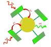 Diagram of the nanocrystal with infrared-absorbing antennae. NIR = near infrared, ET = energy transfer, VIS = emission of visible light.