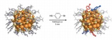 Visualization of the atomic structure of the Au102(p-MBA)44 particle (left) and the partially ligand-exchanged Au102(p-MBA)40(p-BBT)4 (right). The exchanged ligand bromo benzene thiol (p-BBT) is schematically shown in the middle and the observed ligand exchange sites by red and blue on the right.