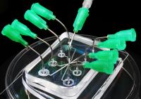 This is a microfluidic lab on a chip device sitting on a polystyrene dish. Stainless steel needles inserted into the apparatus serve as access points for fluids into small channels within it.

Credit: Gregory A. Cooksey/NIST