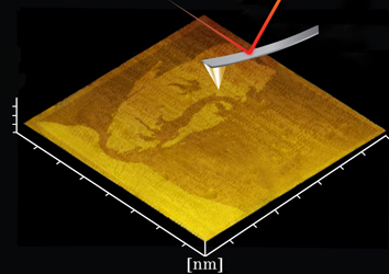 Nanoportrait of the speaker