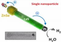 This is a schematic of the photocatalytic nanocrystal.

Credit: Journal of Visualized Experiments