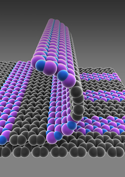 Provided/Jiwoong Park
Schematic illustration of single-atom-thick films with patterned regions of conducting graphene (gray) and insulating boron nitride (purple-blue).