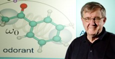 Photo by L. Brian Stauffer

University of Illinois physics professor Klaus Schulten and his colleagues found that the vibration of an odorant molecules chemical bonds contributes to the perception of smell. 