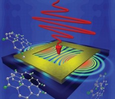 The near-field enhancement on the surface of ring-shaped gold nanostructure becomes homogeneous through circularly polarized light.