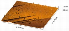 Following bombardment with highly charged ions, nano-hillocks have formed in an area of localized melting. Atomic force microscope image.
Picture: HZDR