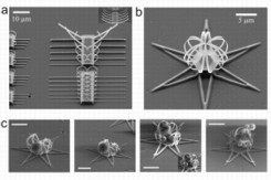 Scanning electron microscopic (SEM) images: a) Self-rolling strips of different widths; b) metallic microflower; c) trapped microparticles of lactose in self-organized metallic structures (scale bar is 4 μm).