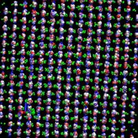 The image shows a molecular dynamics simulation of lithium niobate under a time varying electric field, which changes the sign of the polarization. Red is niobium, green is oxygen, and lithium shows a range of colors for different time steps. The niobium and oxygen are shown only for one time step for clarity. The image shows a small part of the actual simulation.

Credit: Maimon Rose and Ronald Cohen Carnegie Institution