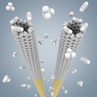 Cloning nanotubes: In this computer model, small, pre-selected nanotube "seeds" (yellow) are grown to long nanotubes of the same twist or "chirality" in a high-temperature gas of small carbon compounds

Credit: Courtesy USC