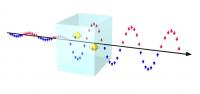 A schematic picture of the defect-engineered spin amplifier demonstrated in this work. The wave pattern symbolizes the time variation of the spin signal, namely the difference between the numbers of spin-up and spin-down electrons. The red and blue arrows represent the period with more spin-up and spin-down electrons, respectively. The amplitude of the wave reflects the strength of the spin signal, which is weak before entering the spin amplifier but becomes stronger when exiting. The defects that have enabled the spin-amplification functionality of a non-magnetic semiconductor are indicated by the yellow balls, each with a spin-polarized localized electron (indicated by the red and blue arrows). The spin direction of this localized electron rapidly follows the sign of the input spin signal, which serves to only attract and remove the incoming electrons with an undesired spin orientation. This leads to a significant enhancement in the spin polarization of the electrons passing the spin amplifier, giving rise to a strongly amplified output spin signal that has truthfully cloned the exactly same time-varying function and thus the spin-encoded information of the input spin signal.

Credit: Weimin Chen/Adv. Mater. 2012, DOI 10.1002/adma.20120597