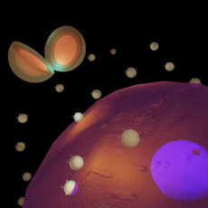 NAVEEN GANDRA
Nanostructures called BRIGHTs seek out biomarkers on cells and then beam brightly to reveal their locations. In the tiny gap between the gold skin and the gold core of the cleaved BRIGHT (visible to the upper left), there is an electromagnetic hot spot that lights up the reporter molecules trapped there.