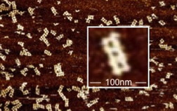 A collection of pharmaceutical molecules is shown after self-assembly. The detail shows a single molecule, made up of strands of DNA, a therapeutic agent and other components that improve its ability to target cancer.

Credit: Parabon NanoLabs