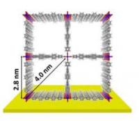 This shows the structure of SURMOF 2 metal-organic frameworks: The pore size may reach up to three times three nanometers.

Credit: Figure: Dr. Jinxuan Liu, IFG