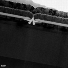 A cross-section transmission electron micrograph of the fabricated transistor. The central inverted V is the gate. The two molybdenum contacts on either side are the source and drain of the transistor. The channel is the indium gallium arsenide light color layer under the source, drain and gate.
Image courtesy of the researchers