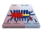 Chemical processes can be activated by light without the need for bulk heating of a material through a process developed by researchers at Rice University. The technique involves coating nanorods with thermophilic enzymes that are activated at high temperatures. Lighting the plasmonic gold nanorod causes highly localized heating and activates the enzyme. (Credit: Lori Pretzer/Rice University)