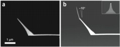 Scanning electron microscope images show two different designs of cantilever tip used by Ando and co-workers for high-speed atomic force microscopy.