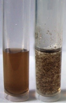 A new method for removing radioactive material from solutions is the result of collaboration between Rice University and Lomonosov Moscow State University. The vial at left holds microscopic particles of graphene oxide in a solution. At right, graphene oxide is added to simulated nuclear waste, which quickly clumps for easy removal. (Credit: Anna Yu. Romanchuk/Lomonosov Moscow State University)