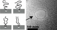  A preference for diving head first	When a DNA strand is captured and pulled through a nanopore, its much more likely to start the journey at one of its ends (top left) rather than being grabbed somewhere in the middle and pulled through in a folded configuration.Credit: Stein lab/Brown University