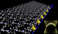 University of Utah engineers demonstrated it is feasible to build the first organic materials that conduct electricity on their molecular edges, but act as an insulator inside. Called organic topological insulators, these materials are made from a thin molecular sheet (left) that resembles chicken wire and conducts electricity on its right edge (blue line) -- with the electrons carrying more information in the form of "up" spin. These new materials could be used to shuttle information at the speed of light in quantum computers due to the unique physical behavior a special class of electrons called Dirac fermions, depicted (right) in a plot of their energy and momentum.

Credit: Zhengfei Wang and Feng Liu, University of Utah