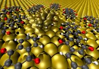 Upon contact between the oxygen atoms protruding from the backbone and the metal, the molecules' internal structure changed in such a way that they lost their semiconducting properties and instead adopted the metallic properties of the surface.

Credit: Visualisation: Georg Heimel/HU Berlin