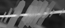 The "shish-kebab" consists of two-dimensional nanosheets strung along a nanowire.