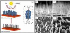 A schematic illustration of the two-step synthesis of CuO-Cu2O hybrid nanorod arrays. 