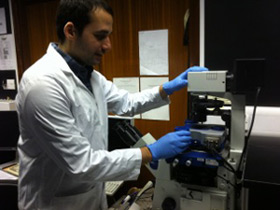 The sample (green/white) absorbs infrared laser light (purple) at wavelengths determined by its chemical composition, causing it to expand, which deflects the AFM cantilever. Bottom left: The AFM detects the height of two small polystyrene particles and a large polymethylmethacrylate (PMMA) particle. Bottom right: The light is tuned to be absorbed only by PMMA but not by polystyrene. Combining the data and recording chemical images at different wavelengths produces a map of the surface's topography and chemistry.

Image Credit: Centrone/NIST - used with permission