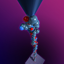 Rice University researchers in the lab of Ching-Hwa Kiang use the bobbing needle from an atomic force microscope to grab and pull individual protein molecules. By stretching the proteins, Kiang's team can measure the precise physical forces that shape them.
CREDIT: C. Kiang/Rice University