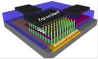 

 X-L Han and G. Larrieu Diagram of a 3D nano-transistor showing the gate (red) surrounding the vertical nanowires (green) and separating the contacts at the ends of each nanowire (beige).