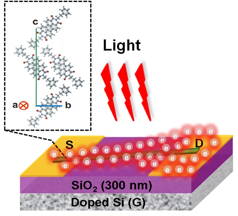  Schematic diagram of single-crystalline nanowire organic phototransistors

Copyright @ Wiley-VCH Verlag GmbH & Co. KGaA.