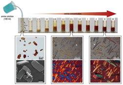 Macroscopic volume and microscopy characterization of the samples before and after swelling. The parent H0.8[Ti1.2Fe0.8]O4 H2O microcrystals exhibit platelets with lateral sizes of ~15 mm35 mm and a thickness of ~2-3 mm. The interlayer spacing is 0.89 nm; thus, the platelets are composed of ~3000 regularly stacked layers. With addition of amine solutions, the samples ballooned spontaneously, and the macroscopic volume of the swollen crystals changes with various DMAE solutions, which shows the maximum volume increase at DMAE/H+ = 0.5. Optical microscopy characterizations reveal extended lamellar structures. The longest swollen length is ~200-250 mm in DMAE/H+ = 0.5. At high concentrations, the swelling is somewhat suppressed, with swollen length of ~100 mm at DMAE/H+ = 10.