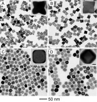 Transmission electron microscope (TEM) images show four distinctive types of nanocrystals that were obtained at different reaction temperatures during Georgia Tech experiments to study the effects of surface diffusion.

Credit: Images courtesy of Younan Xia