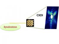 Highly coherent X-rays from synchrotron sources can be used for imaging nanomaterials in 3-D at tens of nanometer of spatial resolution. This image shows a monochromatic hard X-rays patterns from a single crystal gold particle, which produces a speckle-like fringe image. Inverting such "diffraction images" under certain conditions can result in a high-resolution distribution of the electron density (amplitude) and strain of the lattice structure (phase shift).

Credit: Image courtesy Wenge Yang