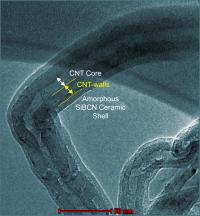 This is a micrograph of one strand of a new spray-on super-nanotube composite developed by the National Institute of Standards and Technology (NIST) and Kansas State University. The multi-wall nanotube core is surrounded by a ceramic shell. The composite is a promising coating for laser power detectors. (Color added for clarity.)

Credit: Kansas State University