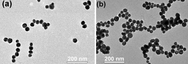 Gold nanoparticles self-assemble into long chains when bombarded with electrons.