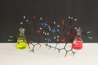 University of Chicago researchers have created a synthetic compound that mimics the complex quantum dynamics observed in photosynthesis. The compound may enable fundamentally new routes to creative solar light harvesting technologies.

Credit: Graham Griffin