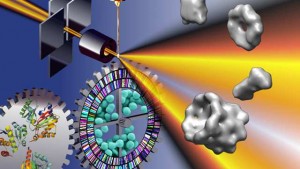 Small angle scattering (SAS) with X-rays (pictured here) or neutrons is the only imaging technique that provides a complete snapshot of the thermodynamic state of macromolecules in a single image. 